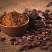 Cacao Powder organic cacao powder natural ingredient