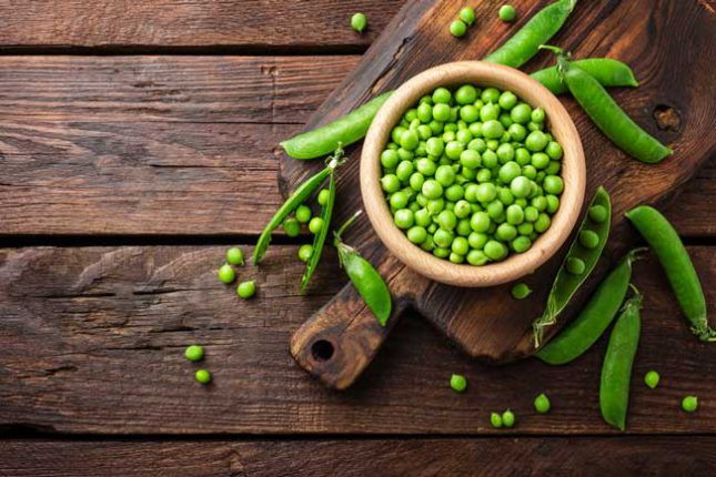 green pea plant protein ingredient