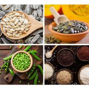 plant protein1 Plant protein natural ingredient supplier | INS Co., Ltd Thailand