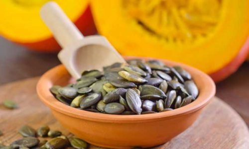 pumpkin seed plant protein