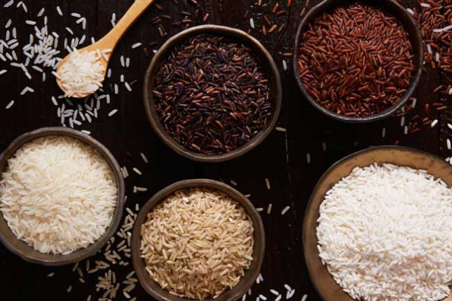 variety of brown jasmine rice plant protein