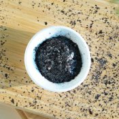 seaweed1 Seaweed natural ingredient supplier Thailand | INS Co., Ltd