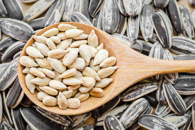 sunflower seed natural plant protein