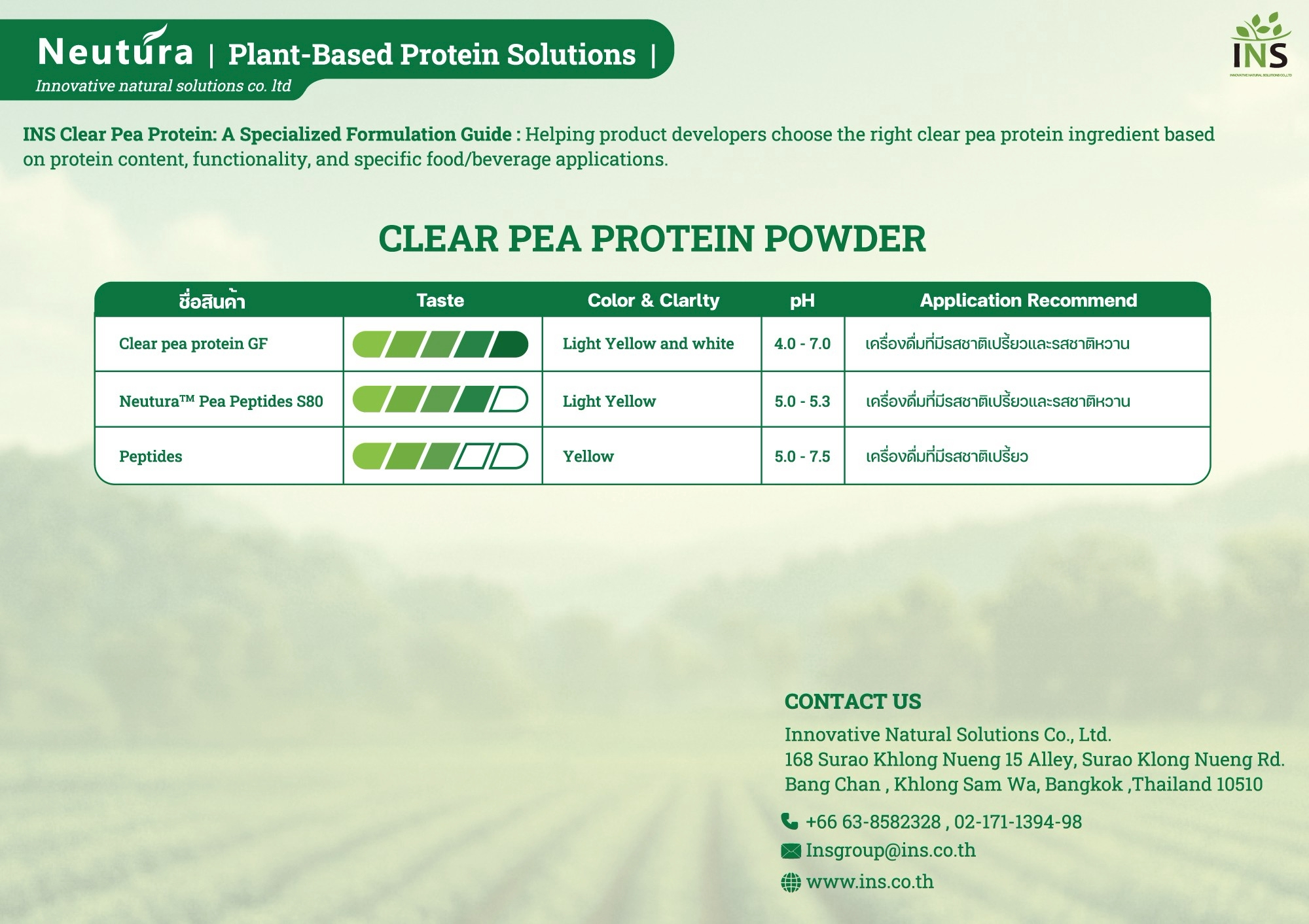 Clear-pea-protein INS clear pea protein powder — taste, color, pH and application guide